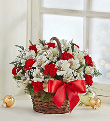Fields of Europe Christmas Basket Flower Power, Florist Davenport FL